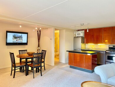 1309 Notchbrook Rd unit 1 CS, Stowe, VT 05672 - photo 3