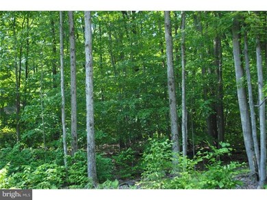 95 Lake Shore Dr, Pocono Lake, PA 18347 - photo 6