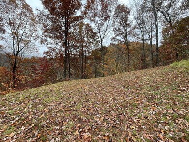 97 Junebug Trail, Waynesville, NC 28785 - photo 5