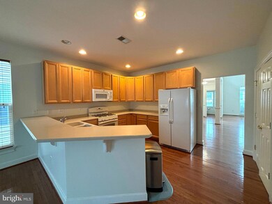 16263 John Rowland Trail, Milton, DE 19968 - photo 4