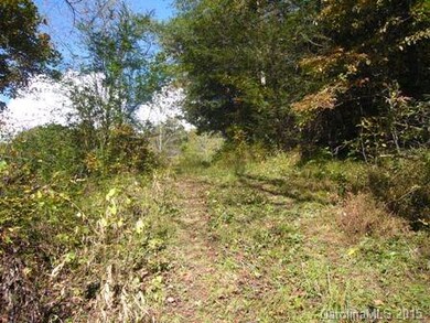 Road to pasture