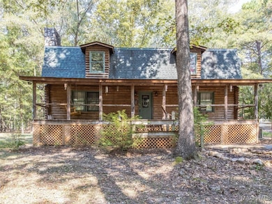 13922 Old Pike Rd, Mathews, AL 36052 - photo 3