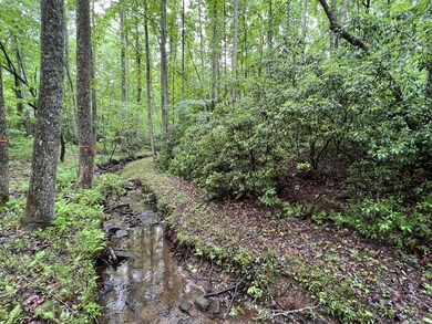 0 Burgess Loop unit RTC2389168, Crossville, TN 38572 - photo 3