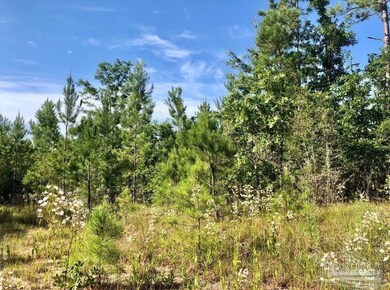 Lot 17 BS Buffalo Ridge Rd, Pace, FL 32571 - photo 3