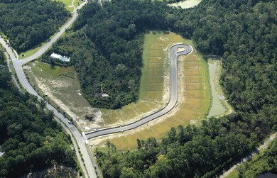 Blind Flight Aerial