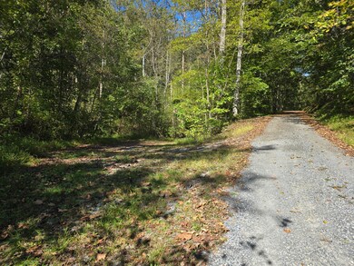 0 Salisbury Rd unit 139599, Eagle Rock, VA 24085 - photo 4