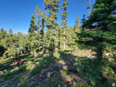 6220 W Brook Ln, Duck Creek, UT 84762 - photo 2