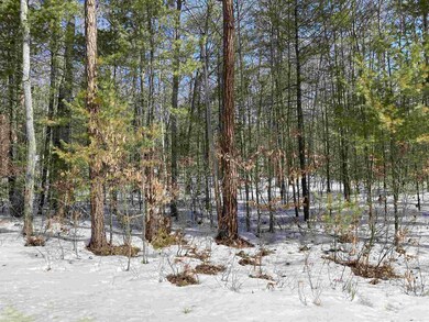 0 Old Stagecoach Rd unit 47 4850722, Freedom, NH 03836 - photo 4