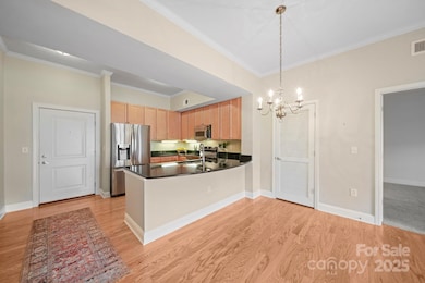 721 Governor Morrison St unit 626, Charlotte, NC 28211 - photo 4