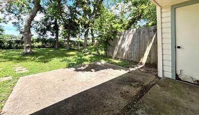 Back yard