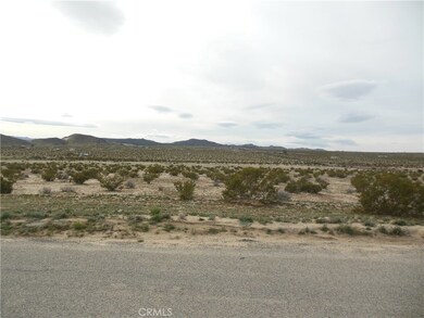 10031 Indian Cove Rd, Twentynine Palms, CA 92277 - photo 2