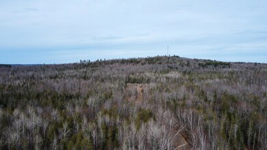 DJI_0359