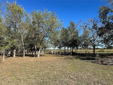 LOT 13 Mesquite Rd, Wallis, TX 77485 - photo 2