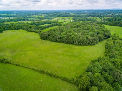 52 AC Johnson Rd, Cookeville, TN 38506 - photo 4