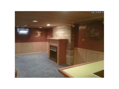 Finished Waterproof basement,This is a gas/woodbur