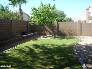 3051 backyard 2