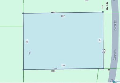 0 Wilson Ln, Fairhope, AL 36532 - photo 4