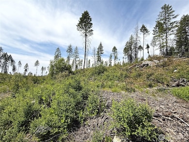 0 Rockabye Ln, Curlew, WA 99118 - photo 6