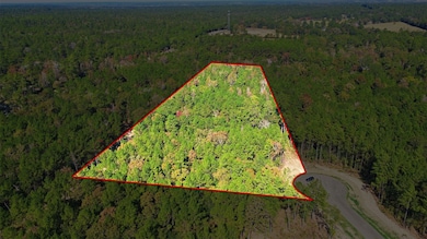 25219 Chisos Bend, Montgomery, TX 77316 - photo 2