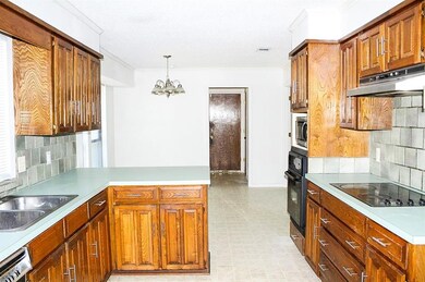 3905 Felisa Place, Fort Worth, TX 76133 - photo 6