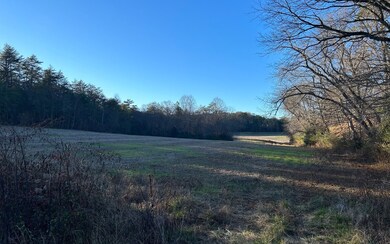 Additional View