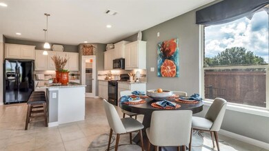 560 Smart Strike Trail, Granbury, TX 76049 - photo 5