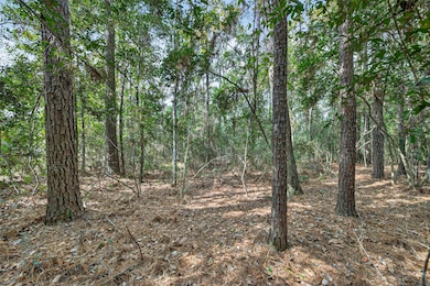 Lot 453 N Woods, Cleveland, TX 77328 - photo 2