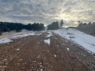 Lot 21 Summit Pass unit Dakota Highland Esta, Whitewood, SD 57793 - photo 4