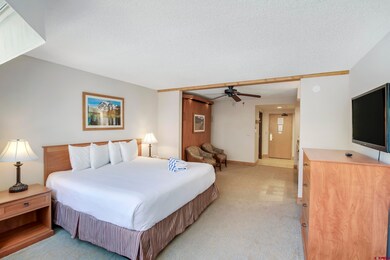 6 Emmons Rd unit 218, Crested Butte, CO 81225 - photo 2