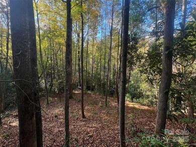 6 Dividing Ridge Trail unit 1, Arden, NC 28704 - photo 3