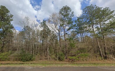 Road 2901, Cleveland, TX 77327 - photo 7