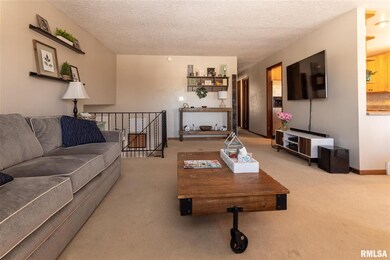 4464 Spring St, Davenport, IA 52807 - photo 5