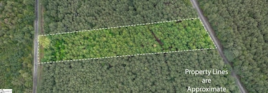 00 Shrine Club Rd, Waterloo, SC 29384 - photo 2