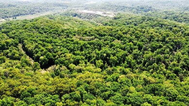 0 Gilliam Rd, Glaze Township, MO 65026 - photo 5