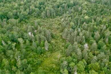 looking down on the 10 acres