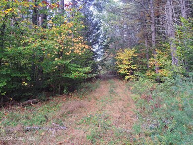 L9 Atateka Rd, Chester, NY 12817 - photo 4