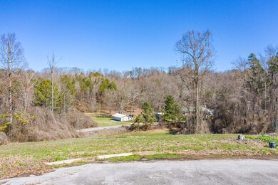 75 Battle Bluff Dr, Rossville, GA 30741 - photo 6