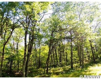 0 Mail Rd unit 893651, Webster, WI 54893 - photo 4