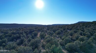 51874 N Cordero Rd unit 3382, Seligman, AZ 86337 - photo 7