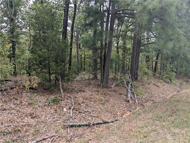Lot 3 E Lancashire Blvd, Bella Vista, AR 72714 - photo 2