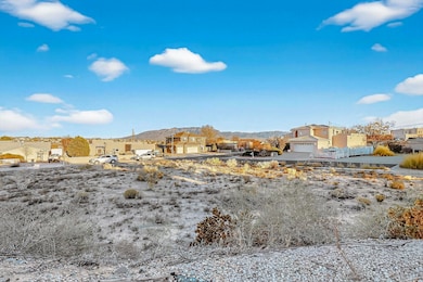 4809 Braniff Ave NW, Albuquerque, NM 87114 - photo 5