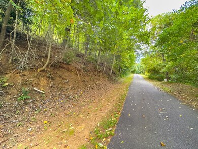 18 Lots Covered Bridge Trail, Fancy Gap, VA 24328 - photo 4