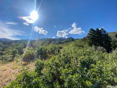 111 Upper Whittemore Dr unit 111, Springville, UT 84663 - photo 4