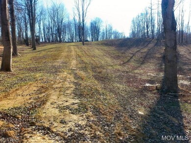 0 Henrie Ln unit M239703, Williamstown, WV 26187 - photo 2