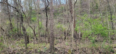 0 Duck Puddle Rd, Greenup, KY 41144 - photo 3