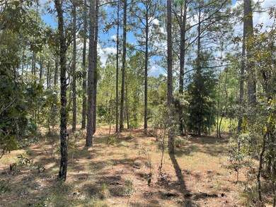 On the Property