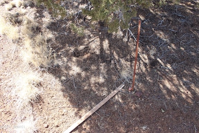 Jason Kempski SL Pines 6 (6)