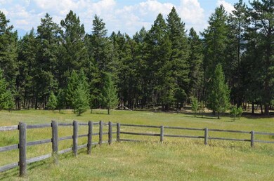 Trees provide privacy