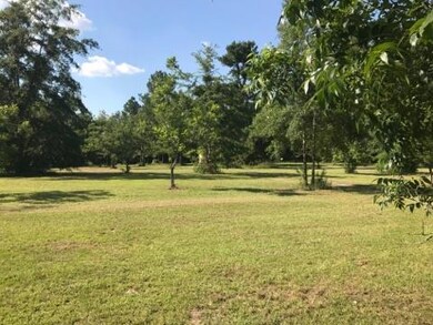 5515 Dixie Rd, Dixie, GA 31629 - photo 7