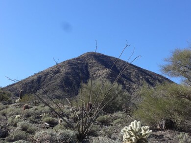 McDowell mtns